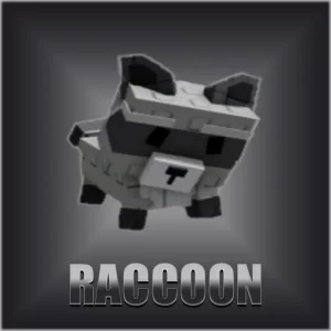 Racoon