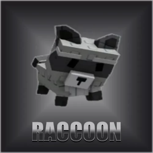 Racoon