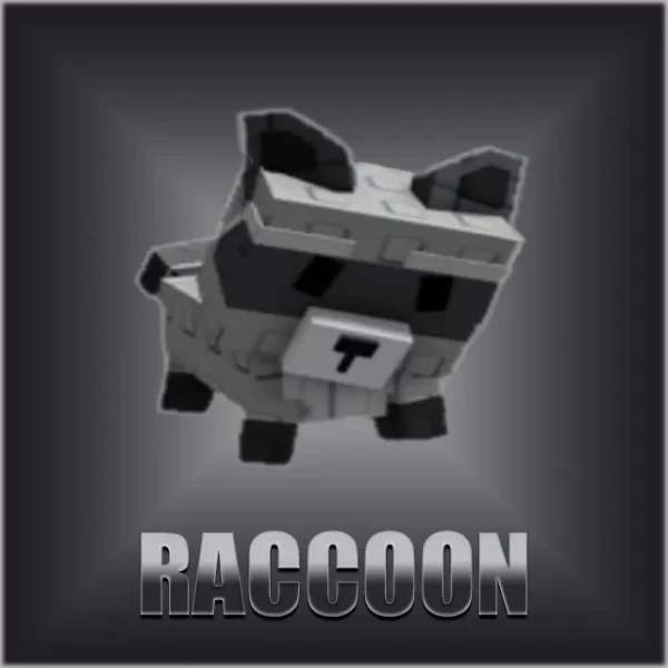 Racoon